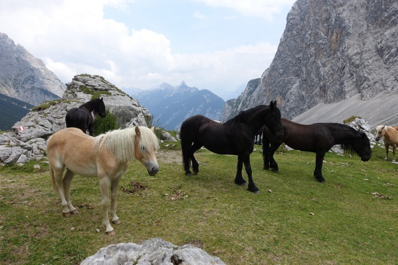 Parkplatz Puitbach - Rotmoosalm
