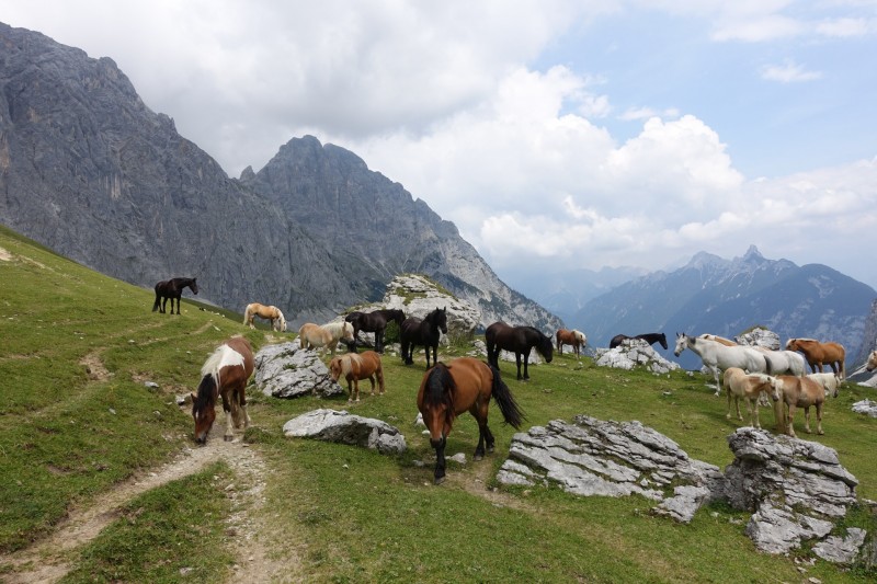 Parkplatz Puitbach - Rotmoosalm