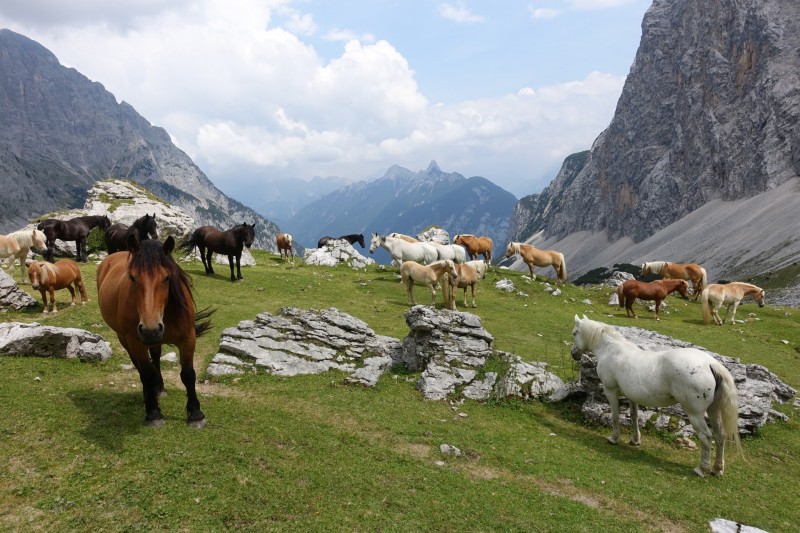 Parkplatz Puitbach - Rotmoosalm