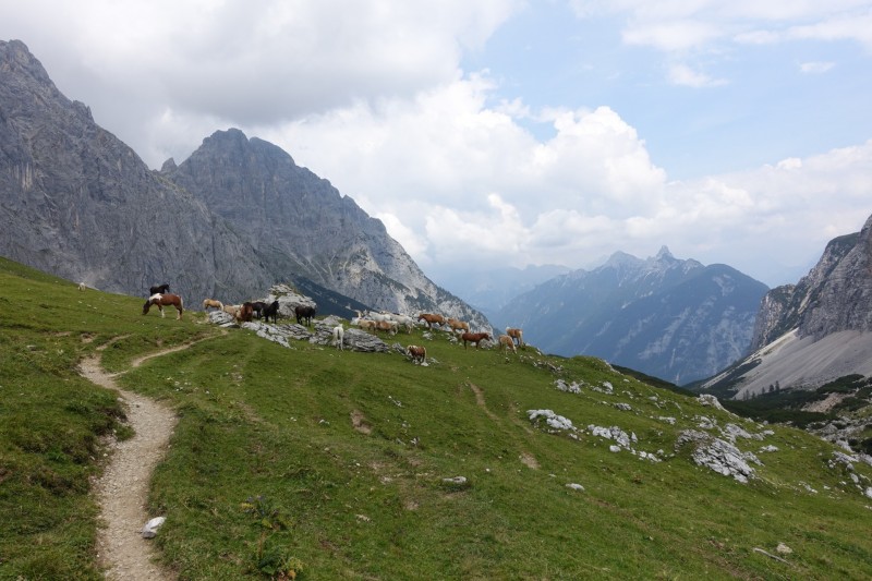 Parkplatz Puitbach - Rotmoosalm