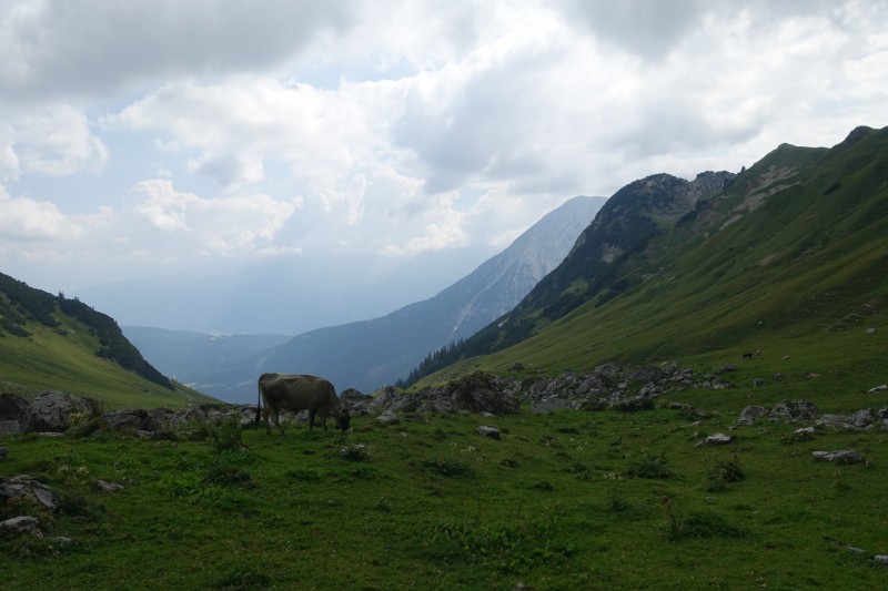 Parkplatz Puitbach - Rotmoosalm