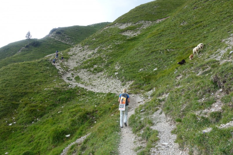 Parkplatz Puitbach - Rotmoosalm