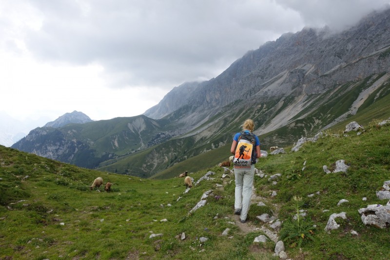 Parkplatz Puitbach - Rotmoosalm