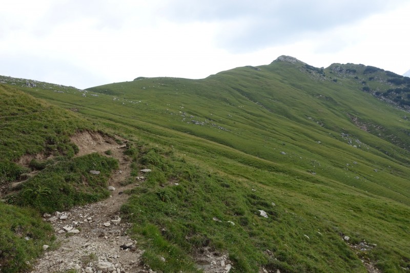 Parkplatz Puitbach - Rotmoosalm