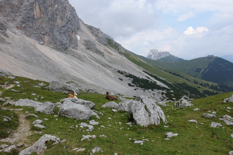 Parkplatz Puitbach - Rotmoosalm