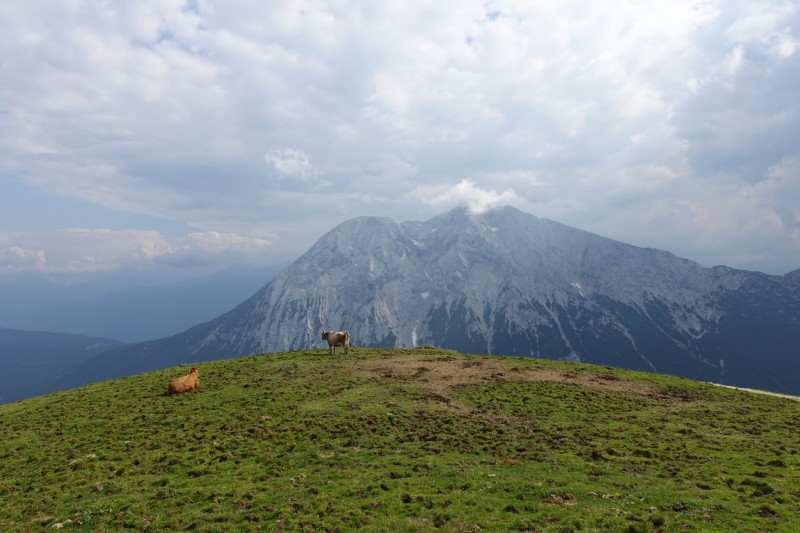 Parkplatz Puitbach - Rotmoosalm