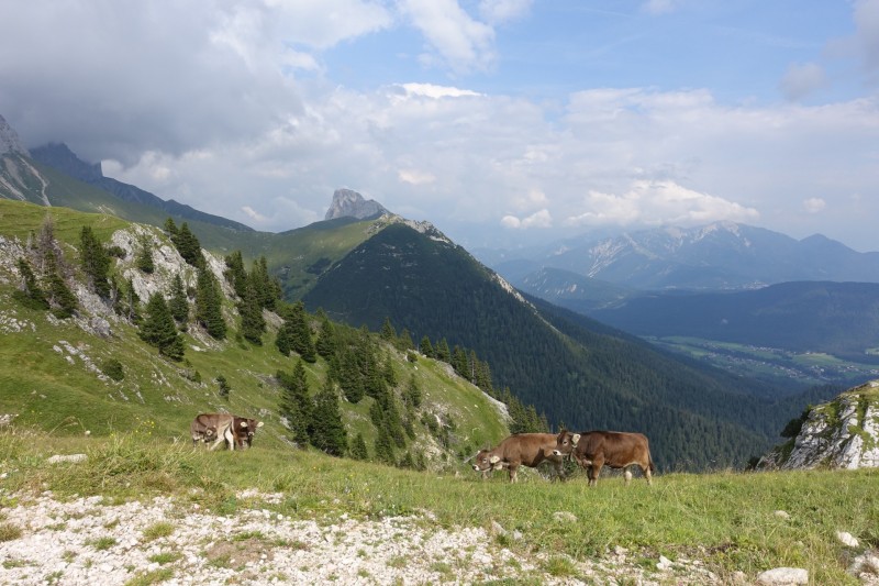 Parkplatz Puitbach - Rotmoosalm