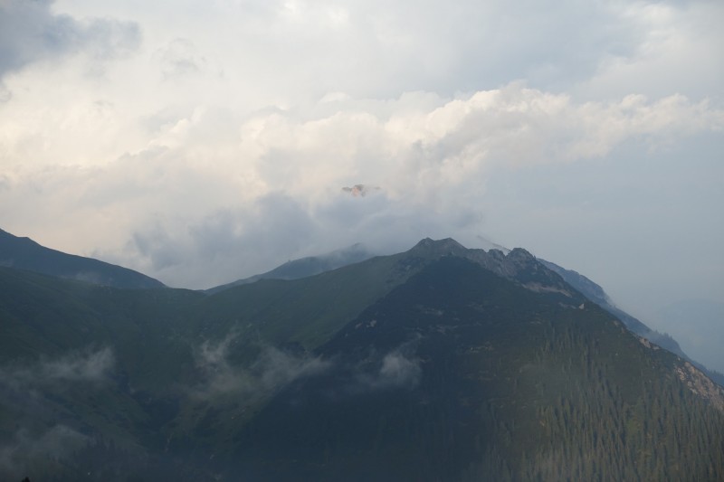 Parkplatz Puitbach - Rotmoosalm