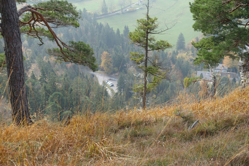 Parkplatz-Wengwies - Heldenkreuz - Osterfeuerspitze - Asamklamm - Parkplatz-Wengwies