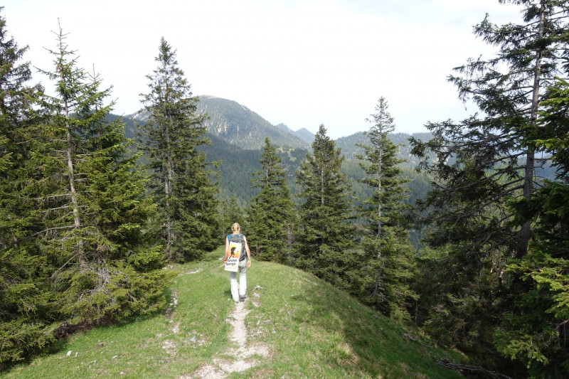 Parkplatz-Wengwies-Osterfeuerkopf - Heldenkreuz - Osterfeuerspitze - Ölrain - Hirschberg