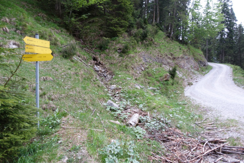 Parkplatz-Wengwies-Osterfeuerkopf - Heldenkreuz - Osterfeuerspitze - Ölrain - Hirschberg