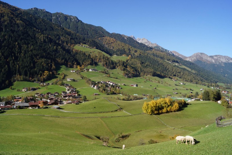 Pfurtschell