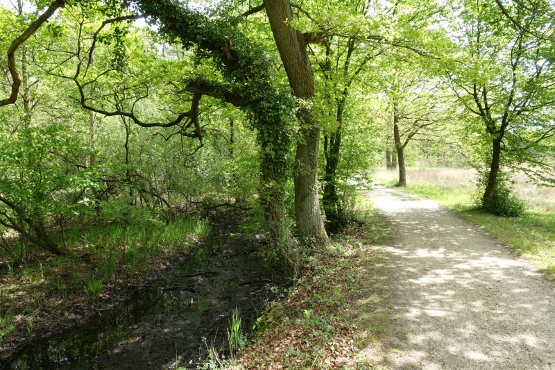 Premiumweg Schwalmbruch