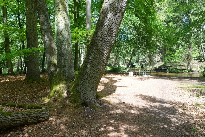 Premiumweg Schwalmbruch