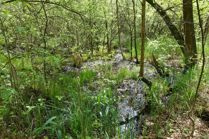 Premiumweg Schwalmbruch