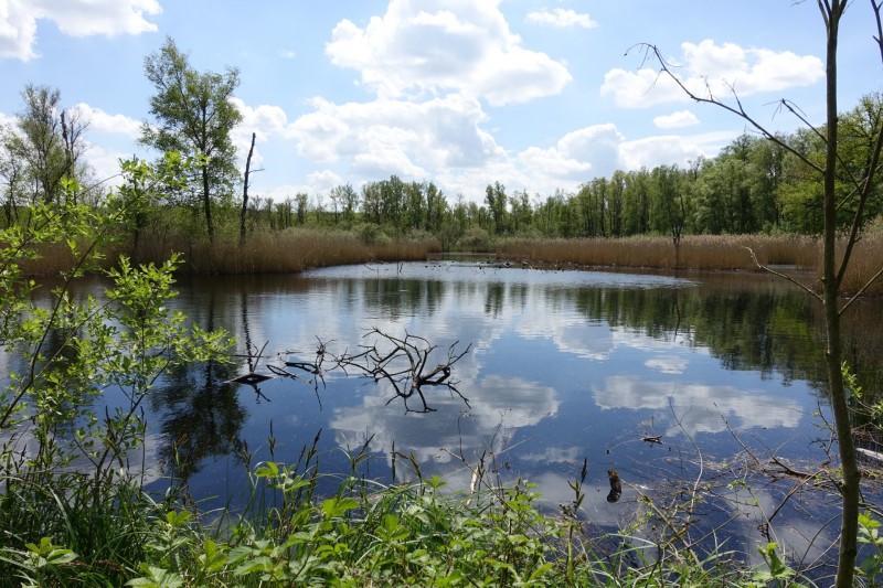 Premiumweg Schwalmbruch
