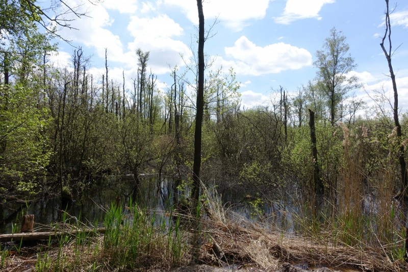 Premiumweg Schwalmbruch