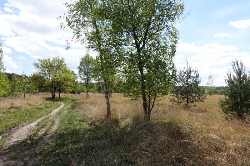 Premiumweg Schwalmbruch