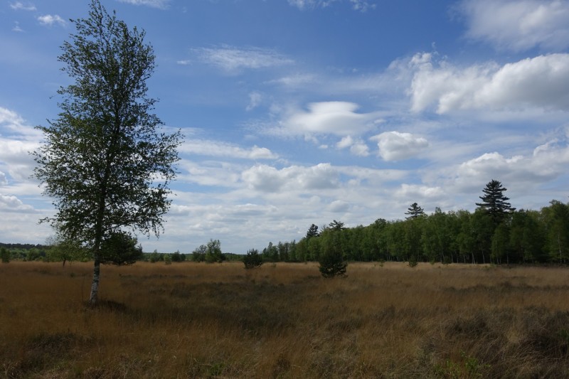 Premiumweg Schwalmbruch