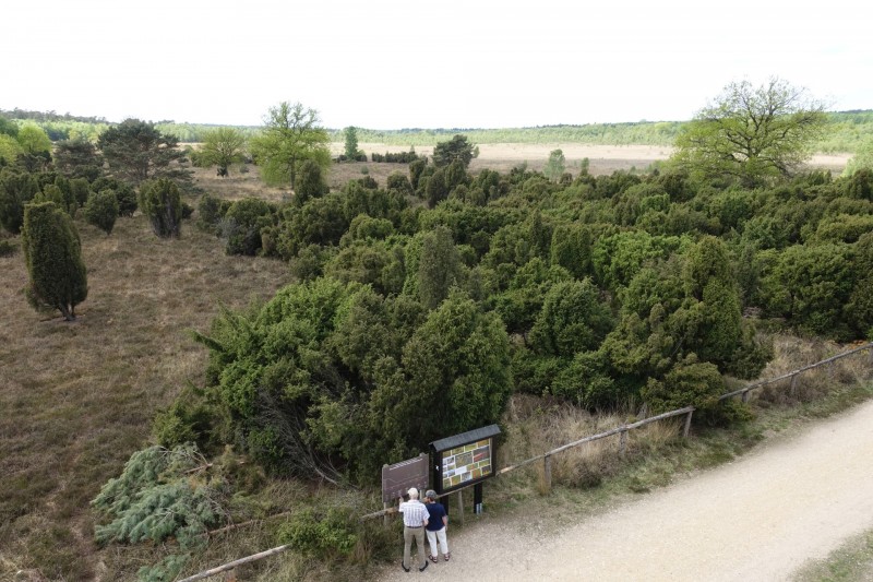 Premiumweg Schwalmbruch