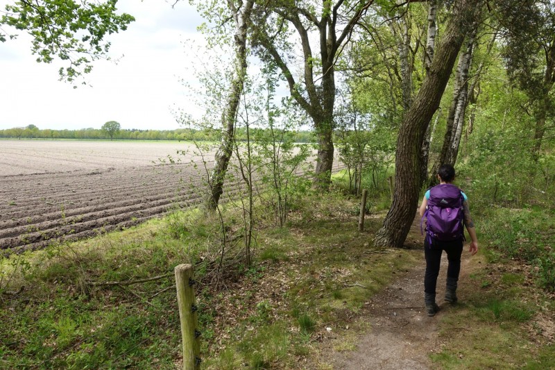 Premiumweg Schwalmbruch