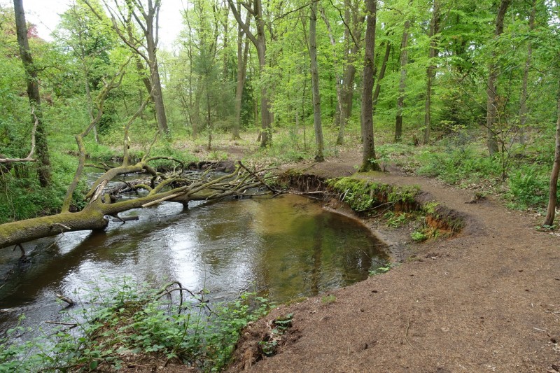 Premiumweg Schwalmbruch