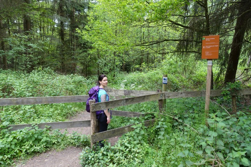 Premiumweg Schwalmbruch