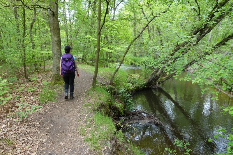 Premiumweg Schwalmbruch