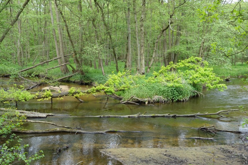 Premiumweg Schwalmbruch