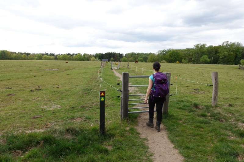 Premiumweg Schwalmbruch