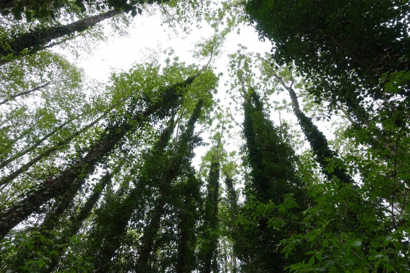 Premiumweg Schwalmbruch