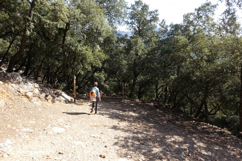 Puig Tomir �berschreitung