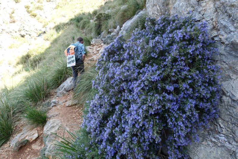 Puig Tomir �berschreitung