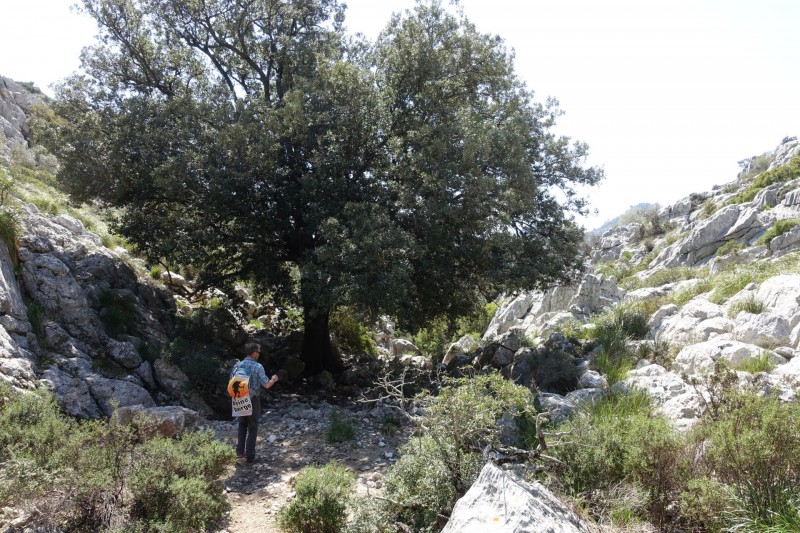 Puig Tomir �berschreitung