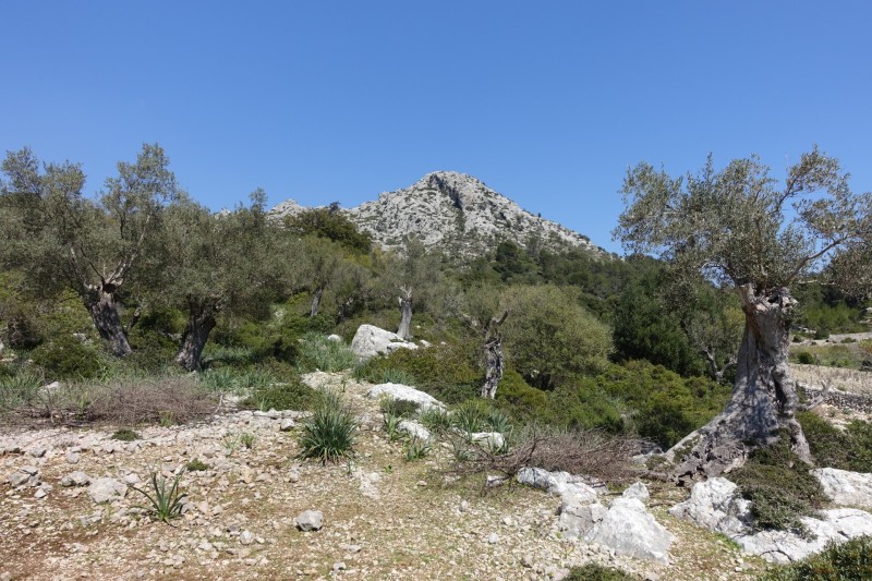 Puig Tomir �berschreitung