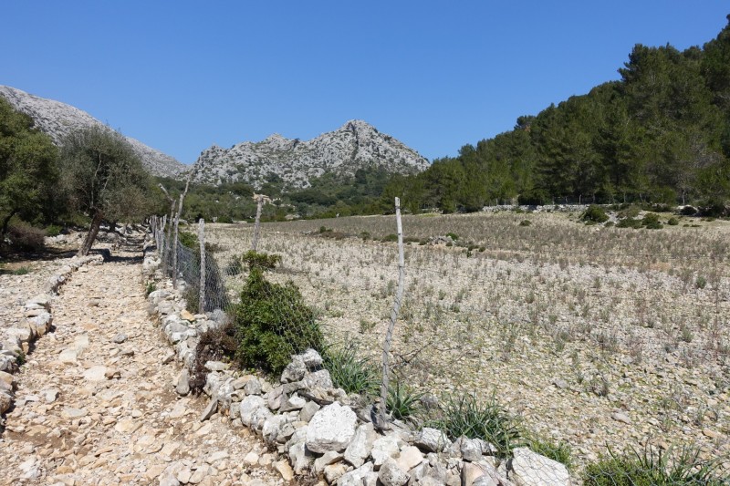 Puig Tomir �berschreitung