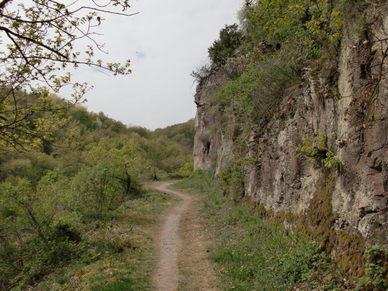 Traumpfad Pyrmonter Felsensteig