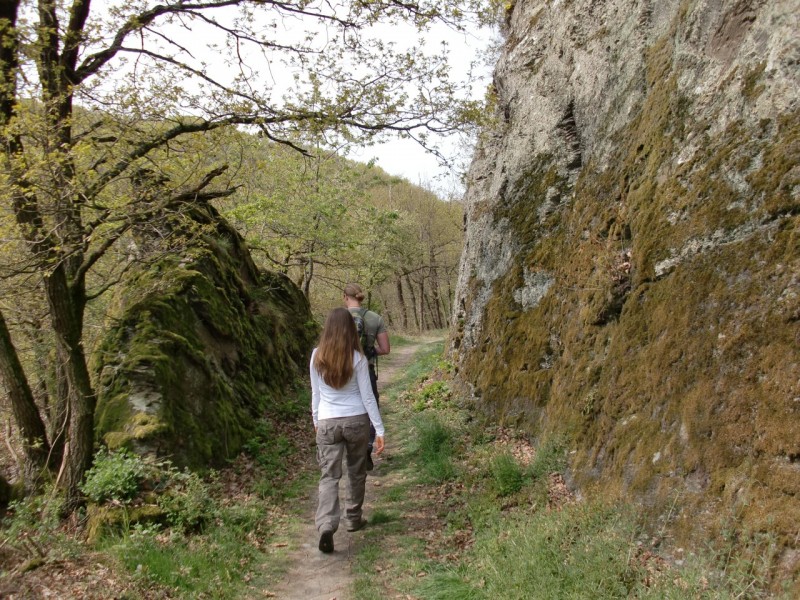Traumpfad Pyrmonter Felsensteig