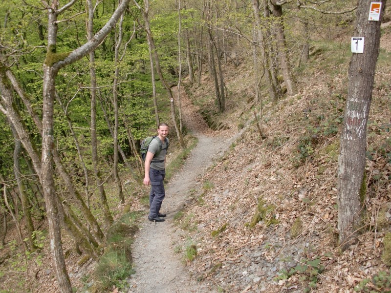 Traumpfad Pyrmonter Felsensteig