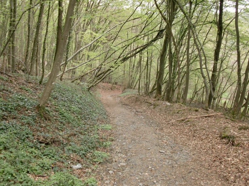 Traumpfad Pyrmonter Felsensteig