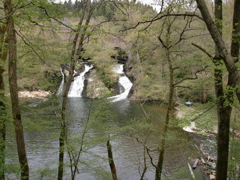 Traumpfad Pyrmonter Felsensteig
