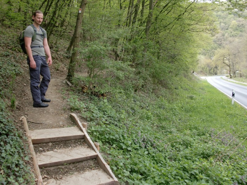 Traumpfad Pyrmonter Felsensteig