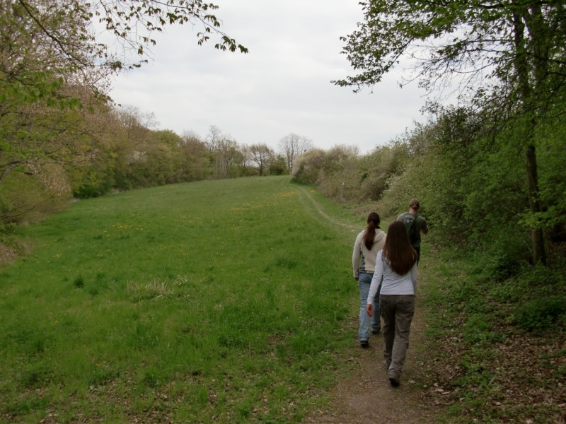 Traumpfad Pyrmonter Felsensteig