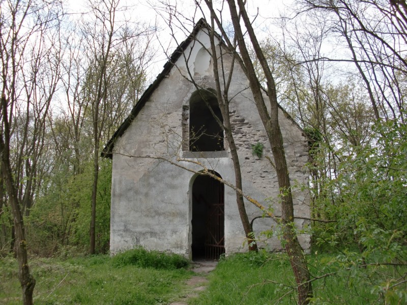Traumpfad Pyrmonter Felsensteig