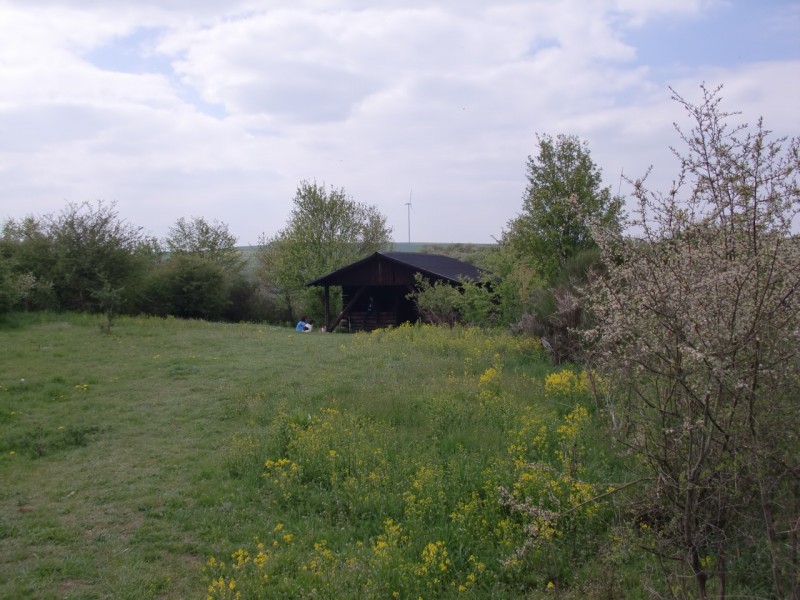 Traumpfad Pyrmonter Felsensteig