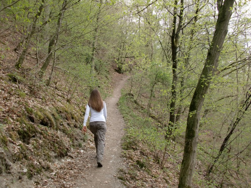 Traumpfad Pyrmonter Felsensteig