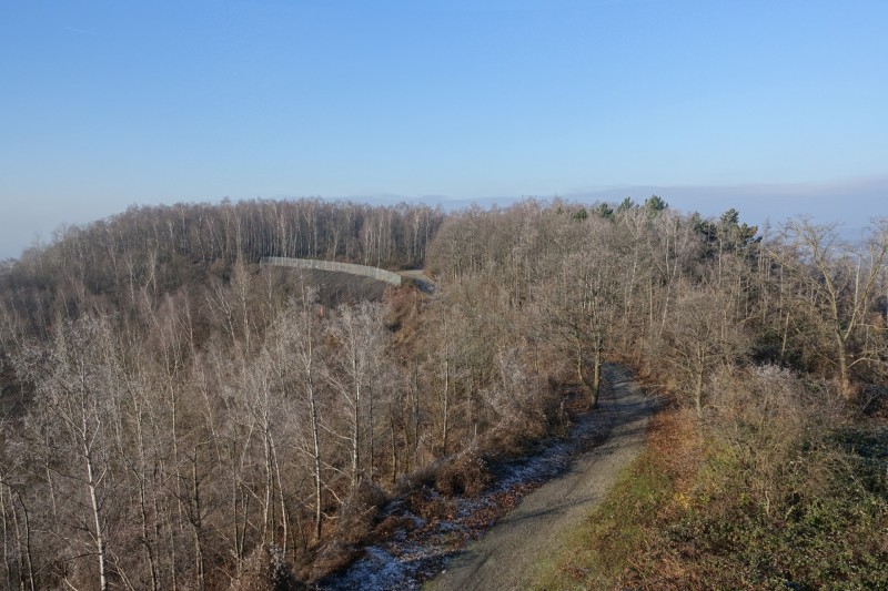 Rapsfeld