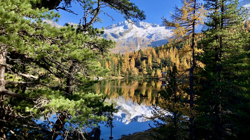 Reedsee -