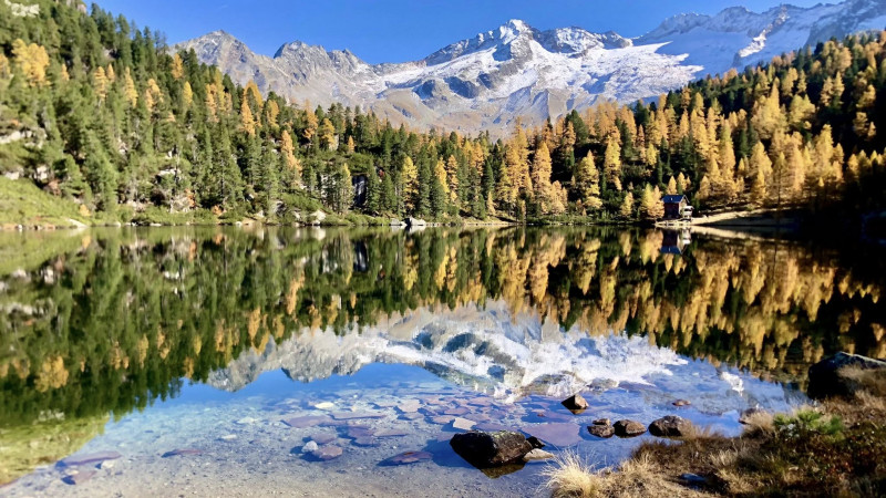 Reedsee -