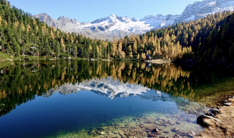 Reedsee -
